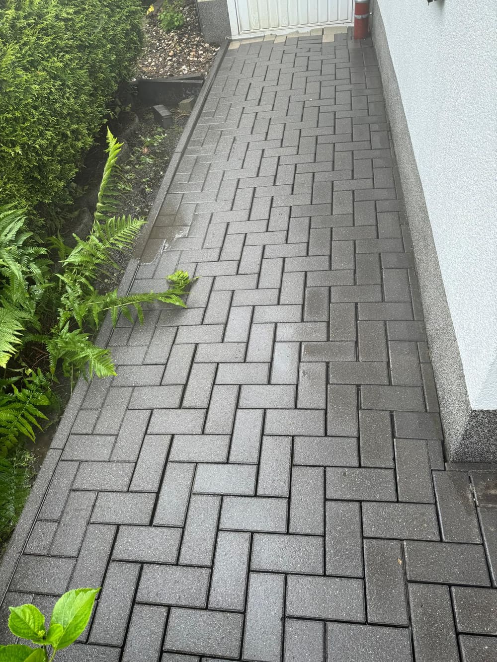 Gereinigter Gartenweg mit Herringbone-Pflaster